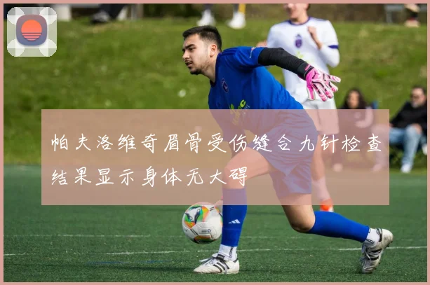 帕夫洛维奇眉骨受伤缝合九针检查结果显示身体无大碍